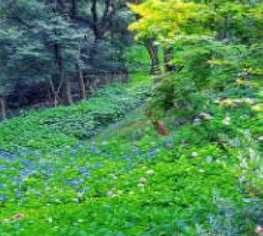 微信圖片_20250702224755