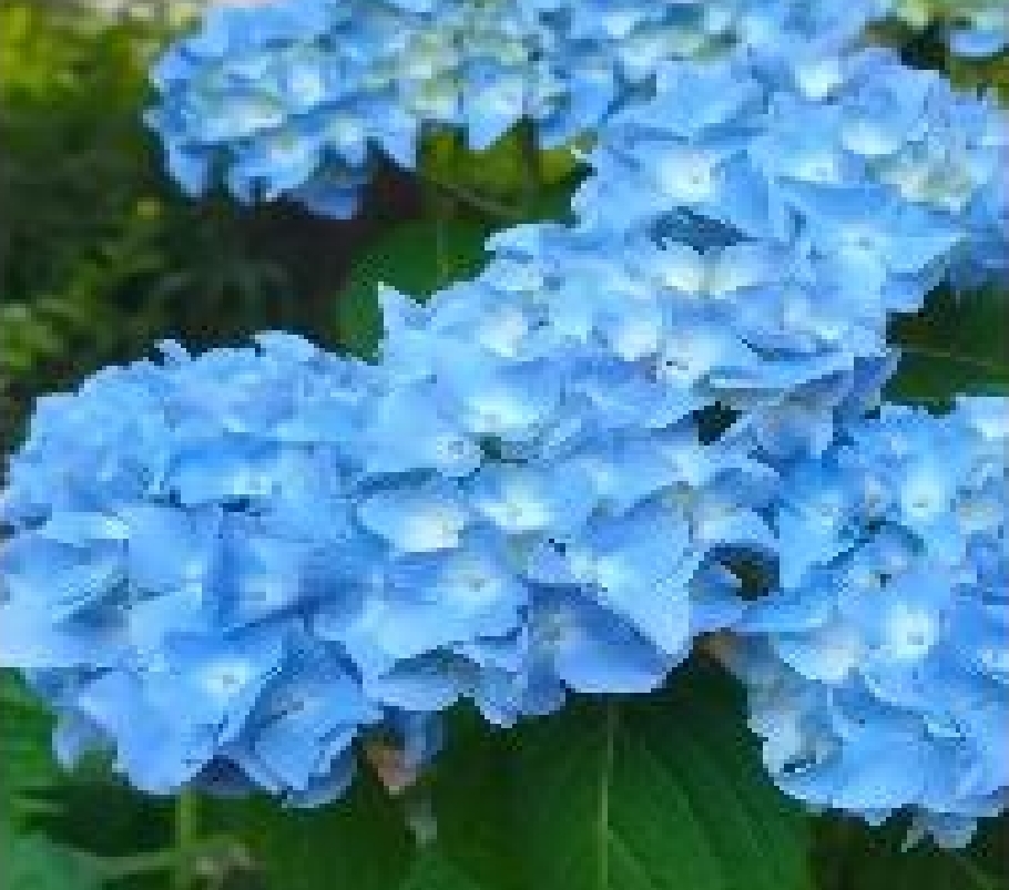 微信圖片_20250702224802